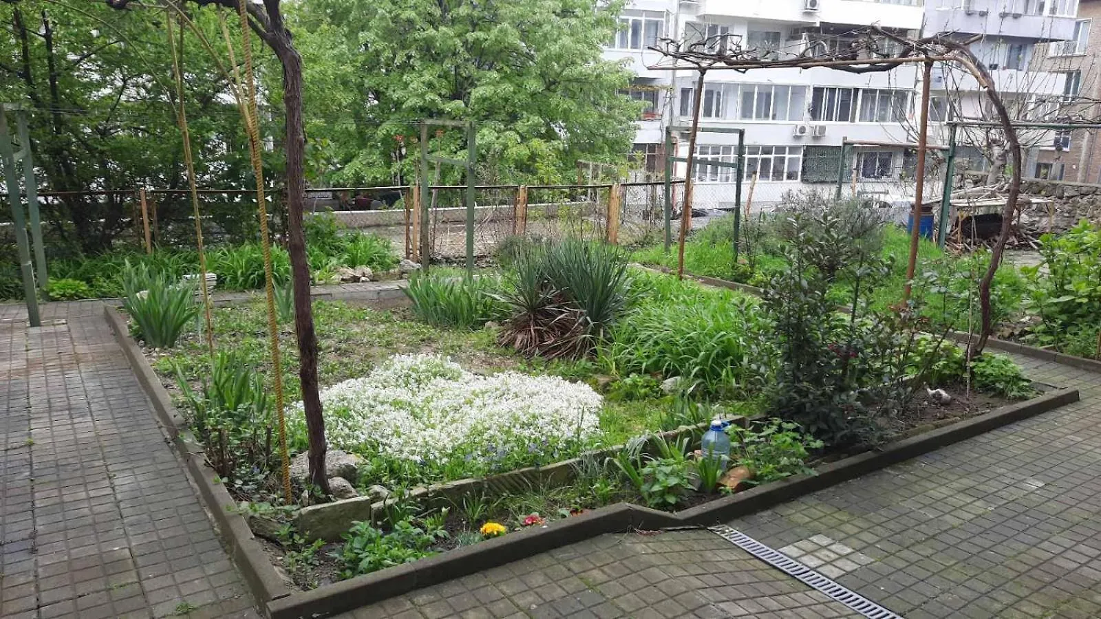 Boho Apartment Varna Bulgaria